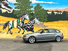 2006 BMW 325xi Gallery